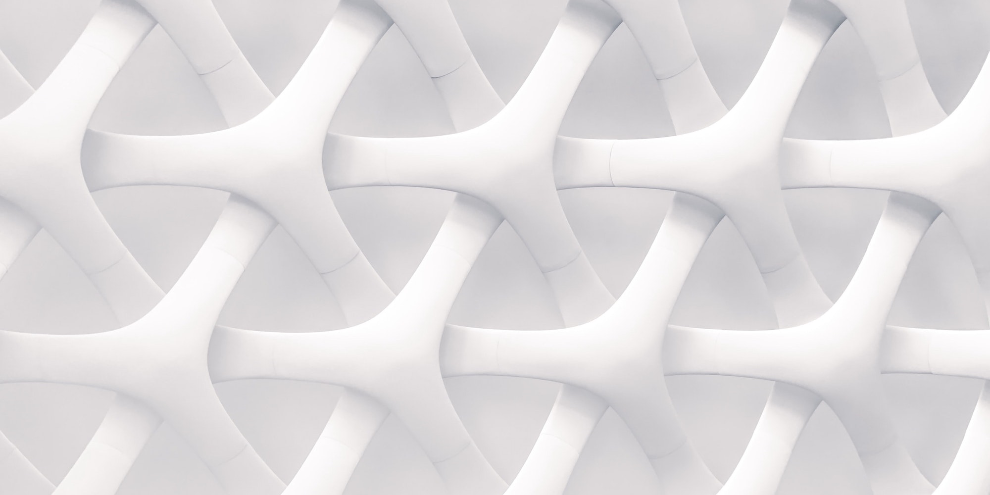 Cover Image for Consectetur Adipiscing Elite Foundation