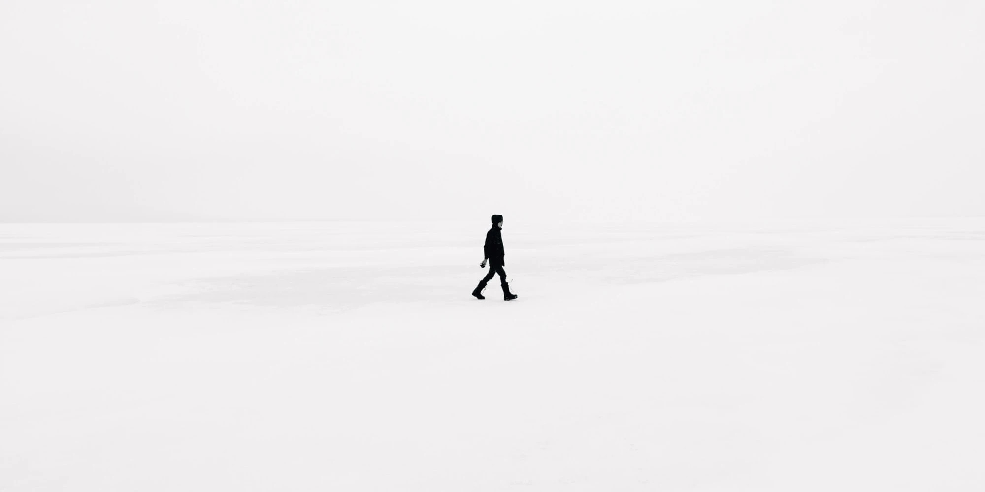 Cover Image for Fringilla Ullamcorper Egestas Vitae